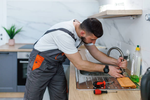 Best Local Plumber Services  in Ferndale, MI