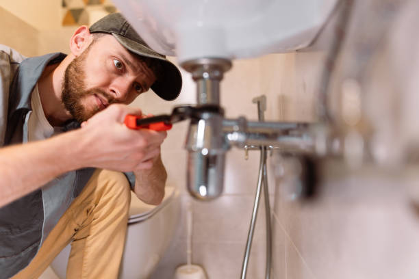 Best Clogged Drain Plumber  in Ferndale, MI