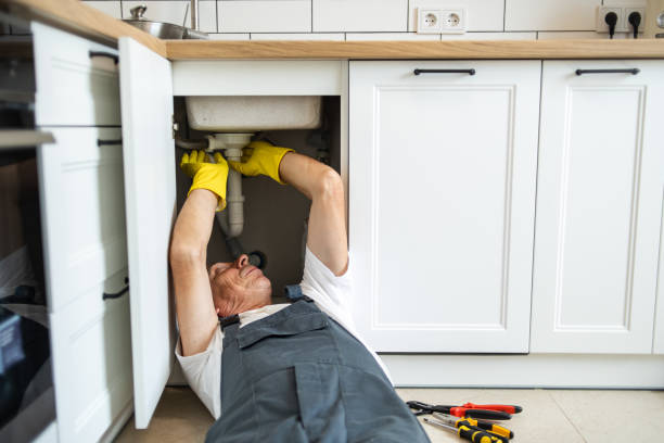 Best Sprinkler Systems  in Ferndale, MI